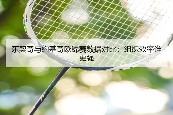 东契奇与约基奇欧锦赛数据对比：组织效率谁更强 - PAPlayAce