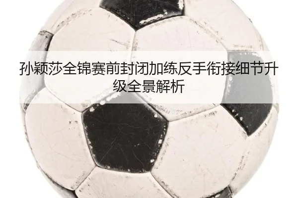 孙颖莎全锦赛前封闭加练反手衔接细节升级全景解析 - PAPlayAce